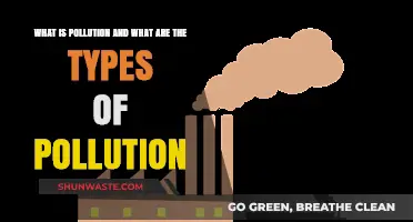 Pollution: Understanding Different Types and Their Impact