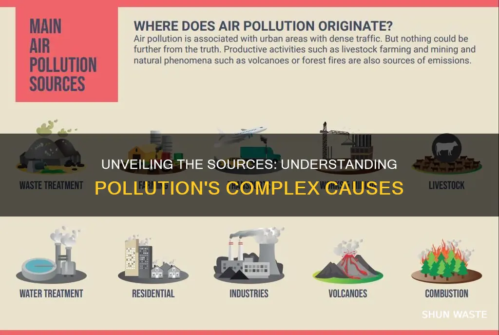 what is pollution and what causes it