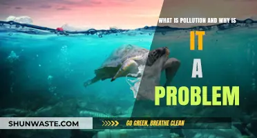Pollution's Impact: Understanding the Problem and Its Causes