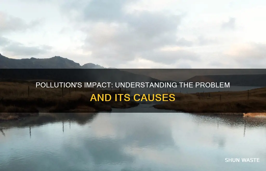 what is pollution and why is it a problem