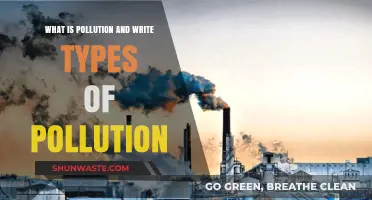 Pollution: Understanding the Different Types and Their Impact