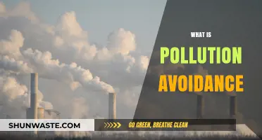 Pollution Avoidance: Strategies for a Greener Future