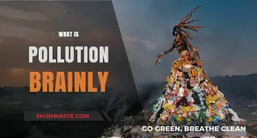 Understanding Pollution: Its Types, Causes, and Effects