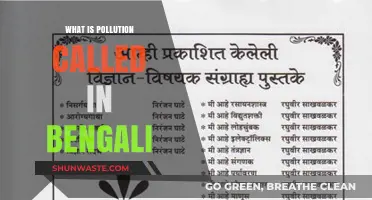 Bengali Term for Pollution: A Cultural Perspective