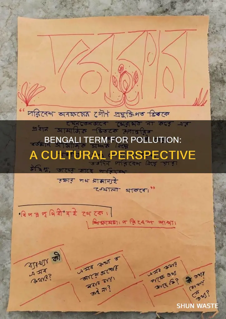 what is pollution called in bengali