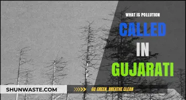 Gujarati Pollution: Understanding the Local Environmental Crisis