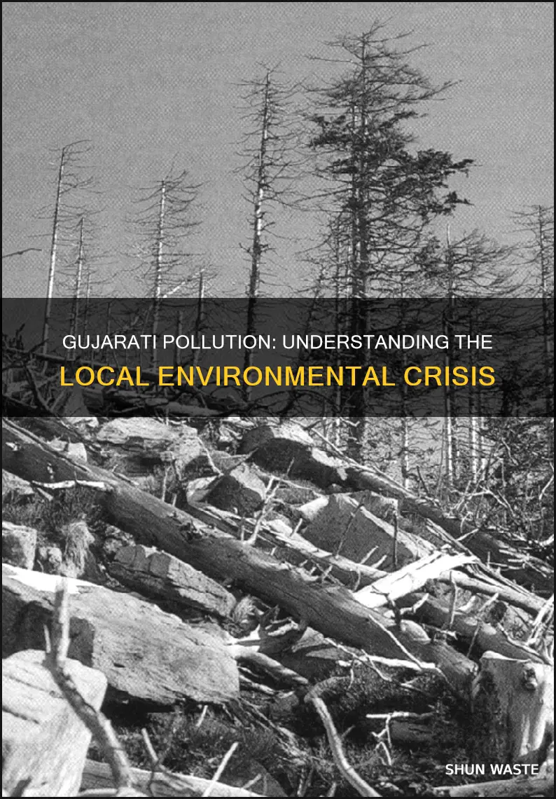 what is pollution called in gujarati