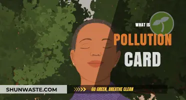 Pollution Cards: The Future of Environmental Awareness