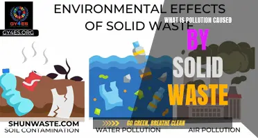 Unveiling the Hidden Dangers: Solid Waste's Impact on Pollution