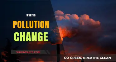 The Impact of Pollution: Climate Change's Dark Side