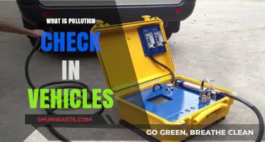 Vehicle Pollution Checks: Ensuring Clean Air