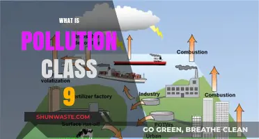 Understanding Pollution: Its Types and Harmful Effects