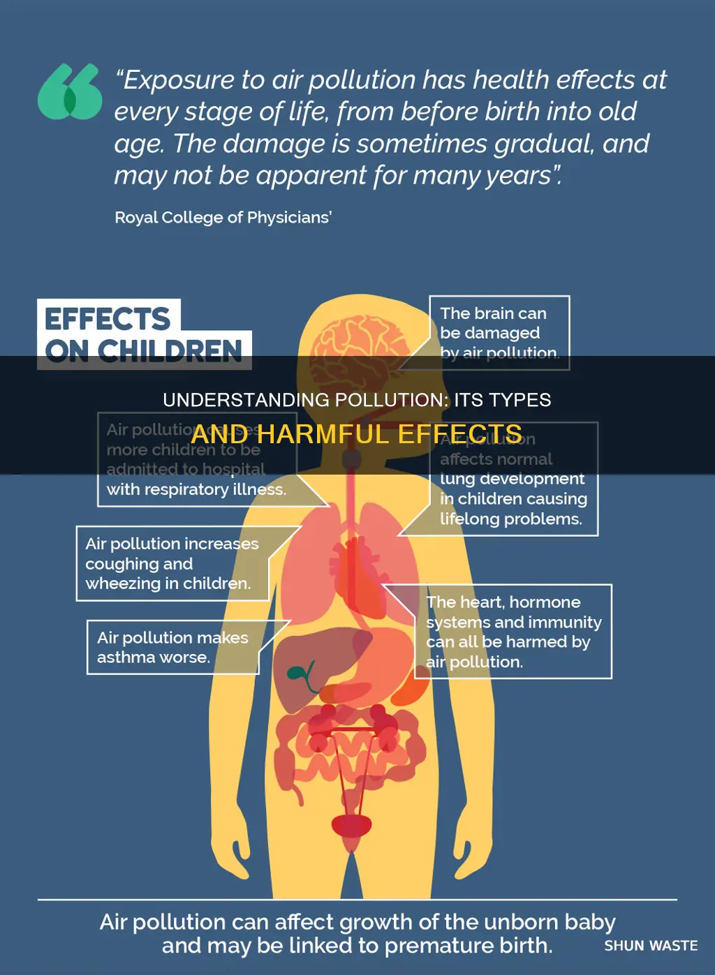 what is pollution class 9