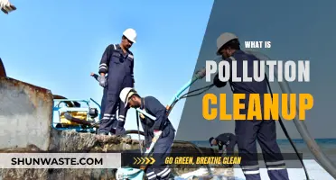 Pollution Cleanup: Restoring Nature's Balance