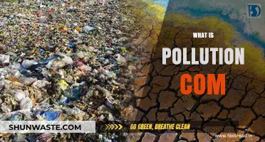 Understanding Pollution: A Comprehensive Guide