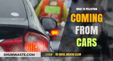 Cars: Understanding the Pollution They Cause