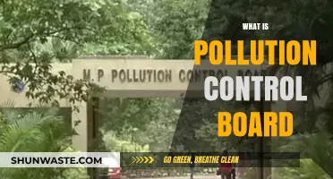 Understanding the Role of Pollution Control Boards