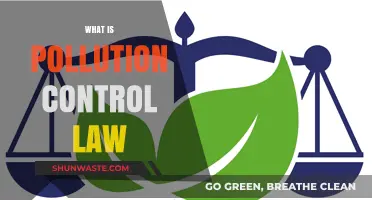 Understanding Pollution Control Law Basics