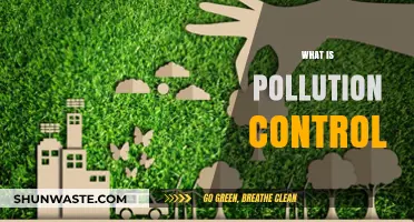 Controlling Pollution: Strategies for a Sustainable Future