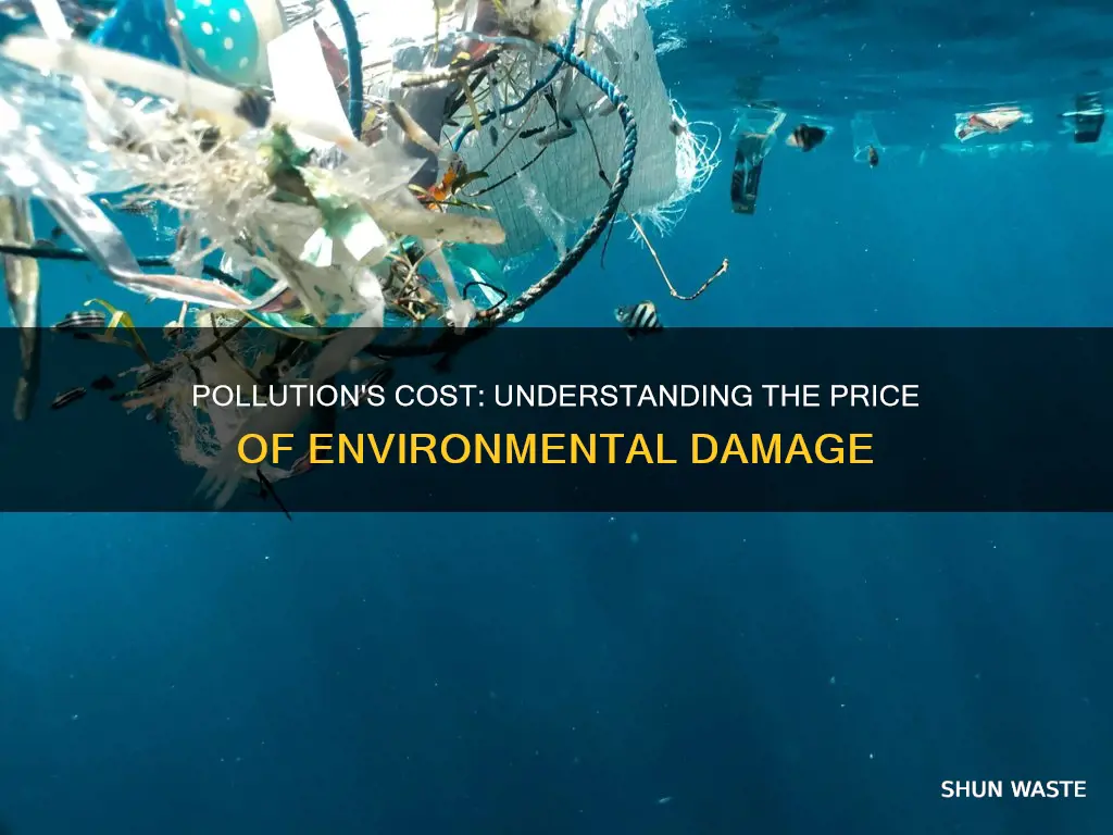 what is pollution cost per metric ton