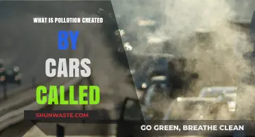 Cars and Air Pollution: A Deadly Combination