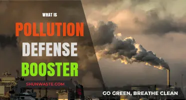 Protecting Skin from Pollution: Defense Booster Benefits