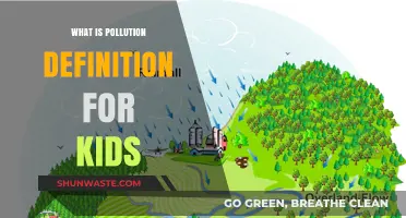 How Pollution Affects Our World