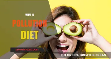 Pollution Diet: Reducing Your Environmental Footprint