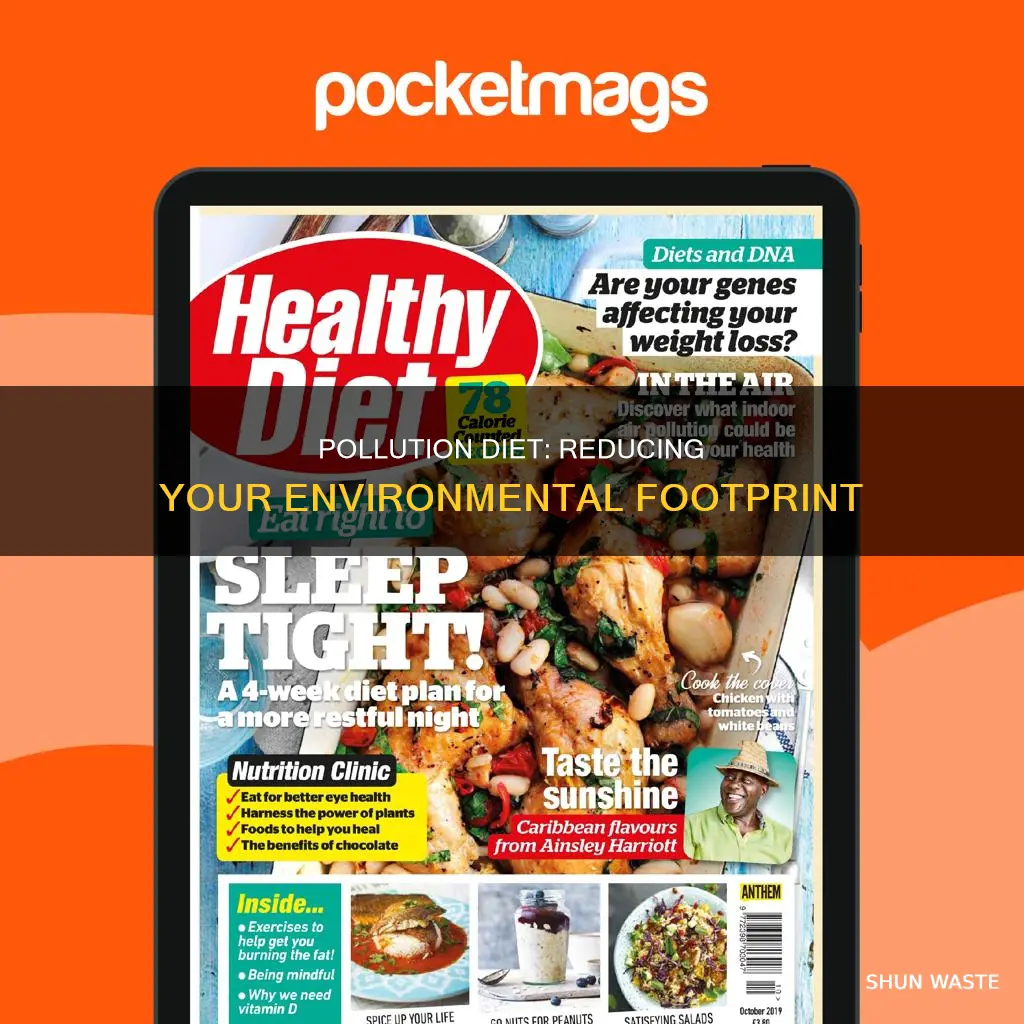 what is pollution diet