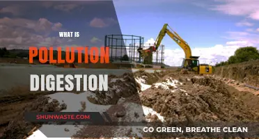 Pollution Digestion: Nature's Solution to Pollution