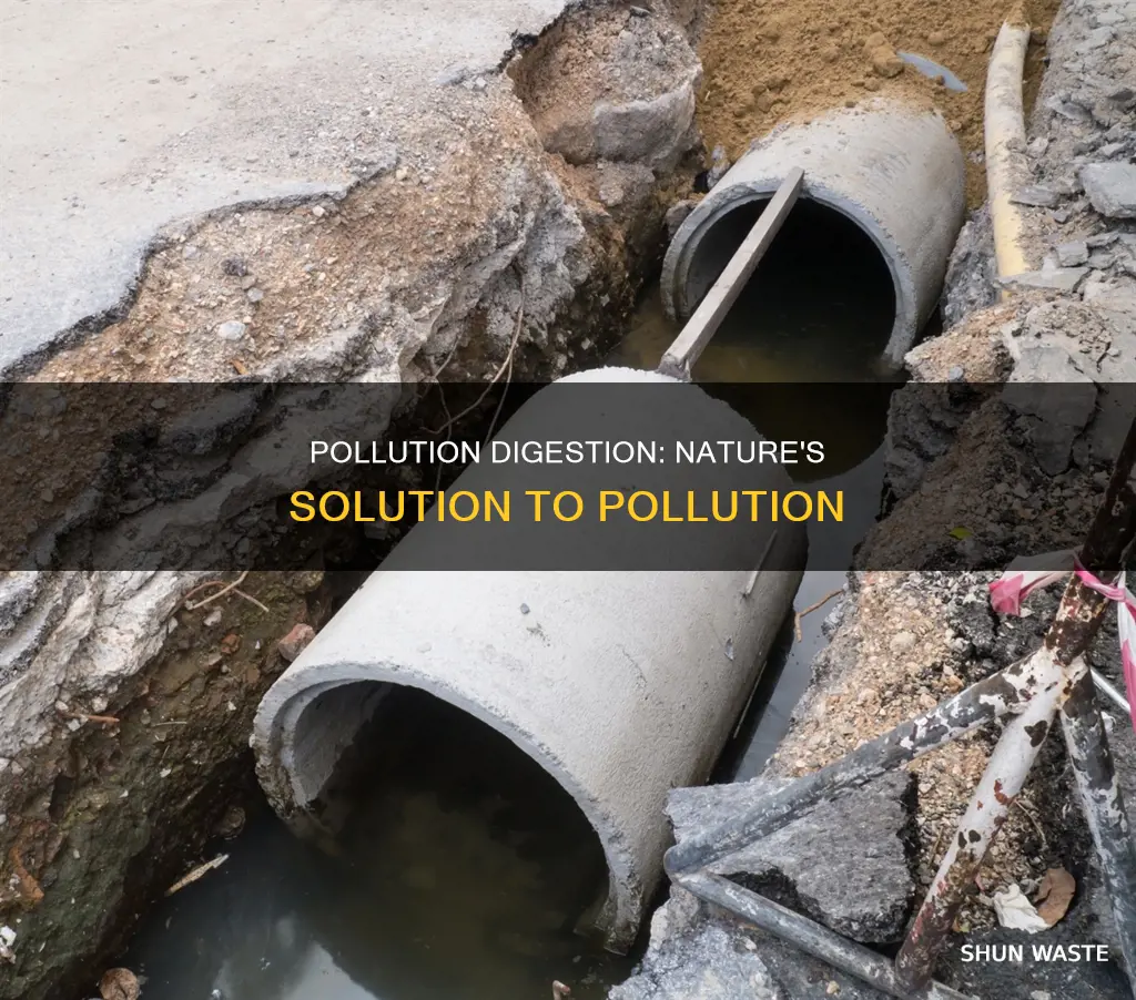 what is pollution digestion
