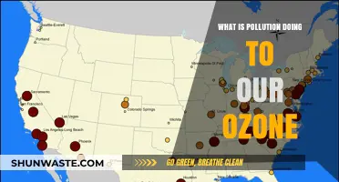Pollution's Impact on the Ozone: A Worrying Reality
