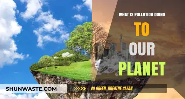 Pollution's Impact: Our Planet's Future at Stake