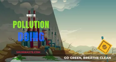 Pollution's Impact: Understanding the Devastating Effects
