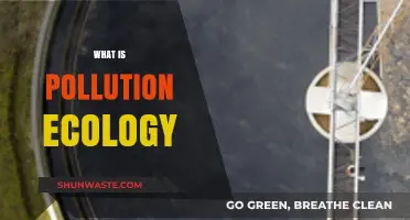 Understanding Pollution's Ecological Impact and Applications