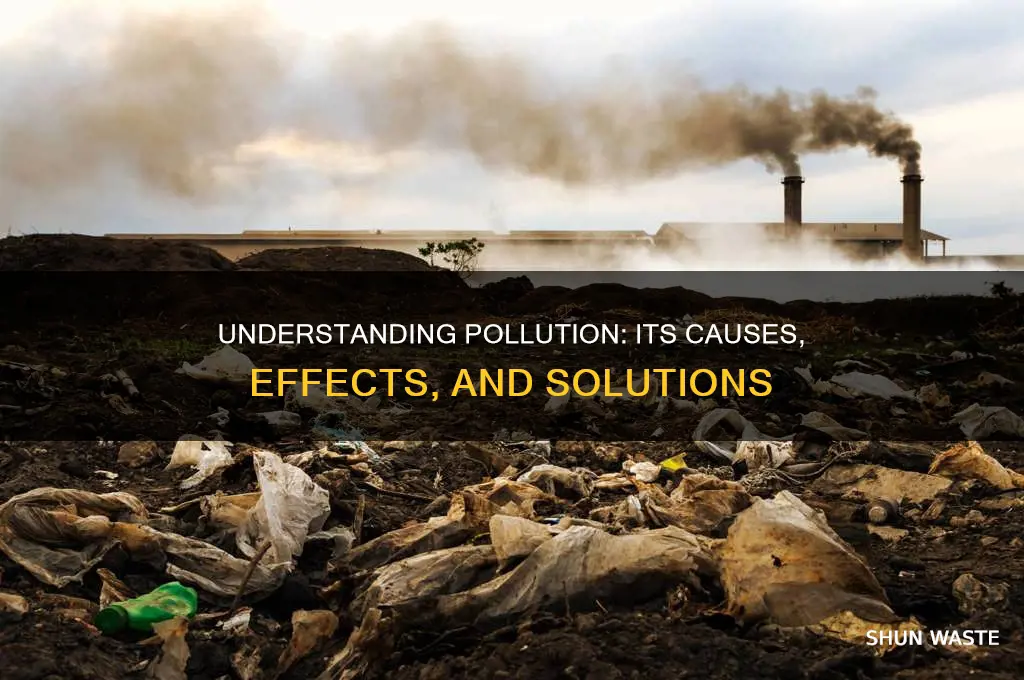 what is pollution edu