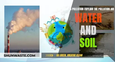 Pollution's Impact: Air, Water, and Soil Explained