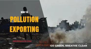 Pollution Exporting: Global Trade's Dark Underbelly