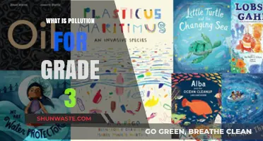 Pollution Problems: What's Happening to Our World?