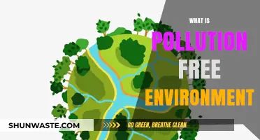 Creating a Pollution-Free Environment: A Sustainable Future