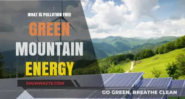 Green Mountain Energy: Pollution-Free Power for a Sustainable Future
