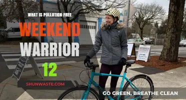 Pollution-Free Weekend: 72 Hours of Clean Living