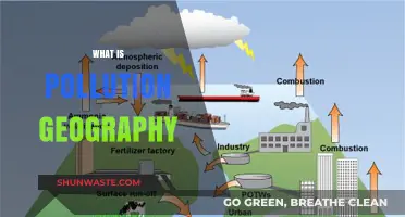 Understanding Pollution: A Geographic Perspective