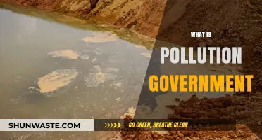 Governments' Role in Pollution Control and Prevention