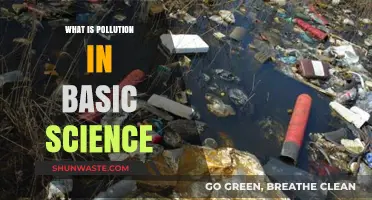 Science Basics: Understanding Pollution and Its Impact