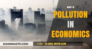 Economic Pollution: Costly Externalities