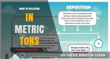 Understanding Pollution's Devastating Metric Tons