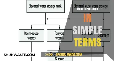 Understanding Pollution: A Simple Guide to Its Meaning