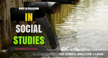 Social Studies: Understanding Pollution and Its Impact