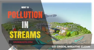 Stream Pollution: Understanding the Crisis